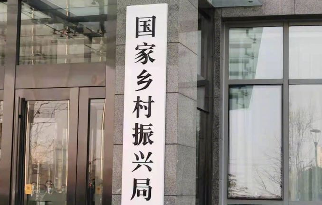 朱家坡村委会交通新闻更新，迈向现代化交通新步伐