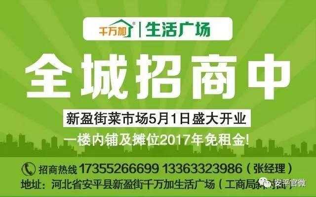 偃师市人力资源和社会保障局招聘最新信息详解