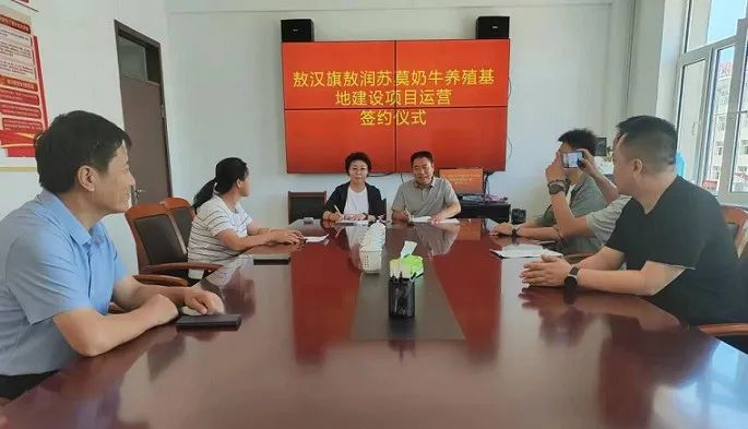 敖汉旗财政局最新项目概览与动态分析