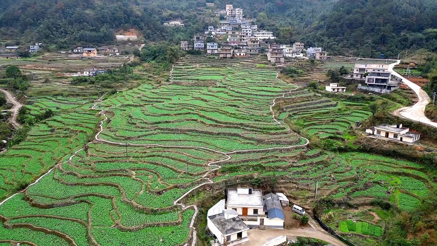 龙桥土家族乡天气预报更新通知